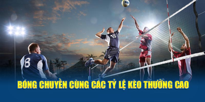 Bóng chuyền cùng các tỷ lệ kèo thưởng cao