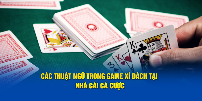 Các thuật ngữ trong game xì dách tại nhà cái cá cược